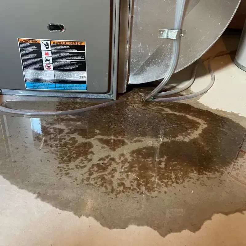 Appliance Leak Cleanup in Scurry County, TX